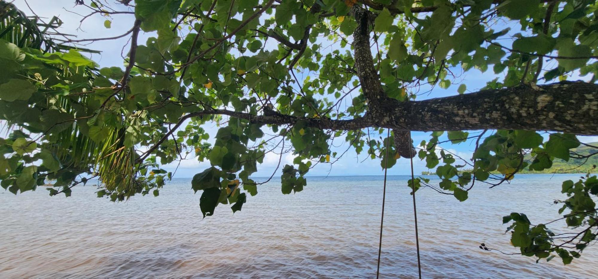 Fare Mama Rota - Au Bord De L'Ocean Villa Taputapuapea Luaran gambar