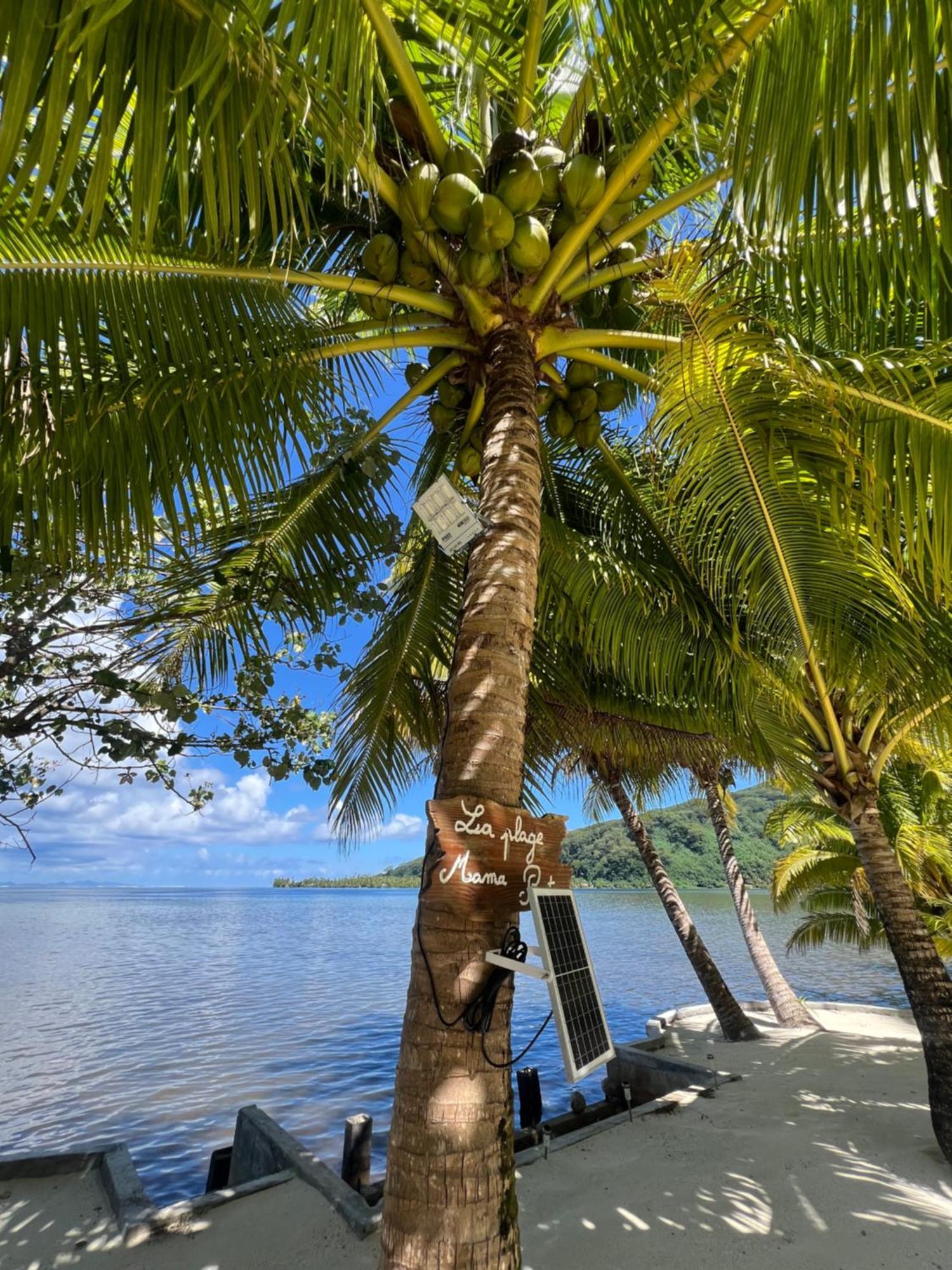 Fare Mama Rota - Au Bord De L'Ocean Villa Taputapuapea Luaran gambar